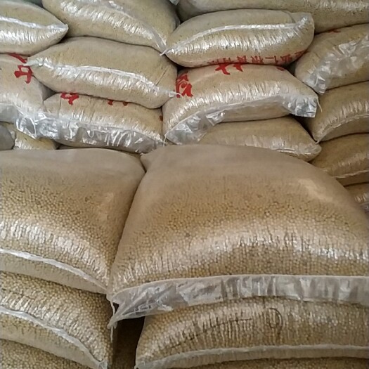 新沂市 国产高蛋白大豆非转基因