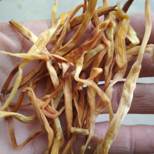 祁东县餐饮专用， 黄花菜 散装