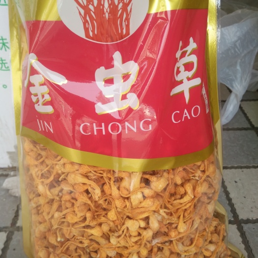 野生蟲草花 