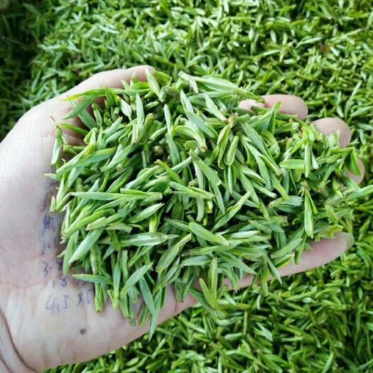 池州石台富硒茶 散装 一级 