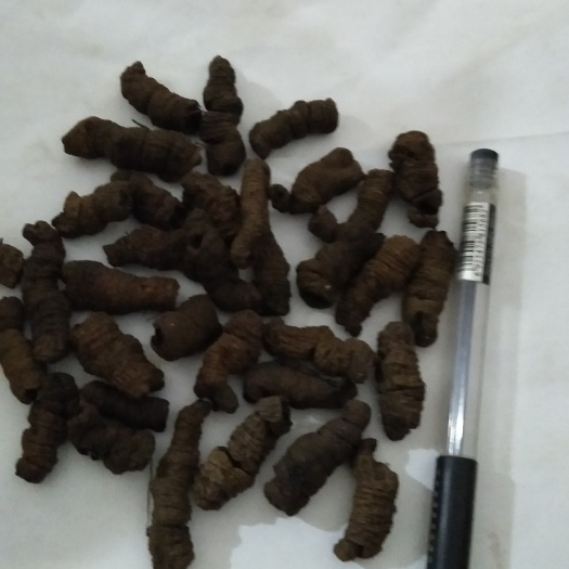 肇庆鲜巴戟