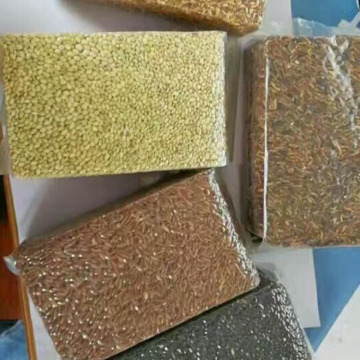 稻鸭共生有机大米 有机大米 中稻 一等品 