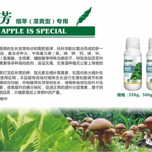 郑州叶面肥 