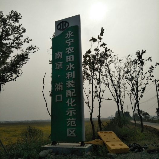 南京宁麦13 