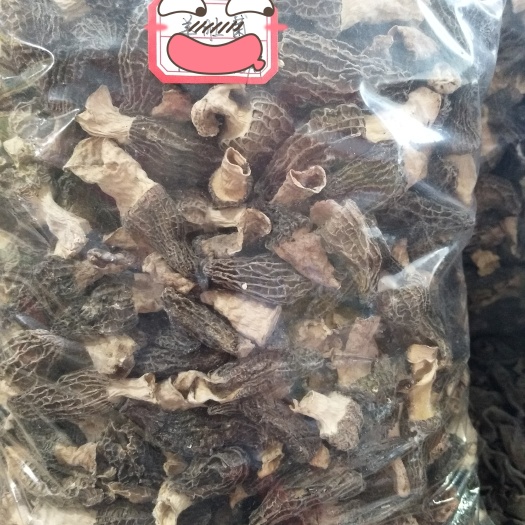 短裙竹荪