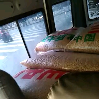 长沙大豆 湖南省长沙市望城区 生大豆 1等品 豆粒