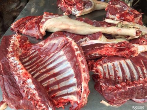 宜春 土山羊肉