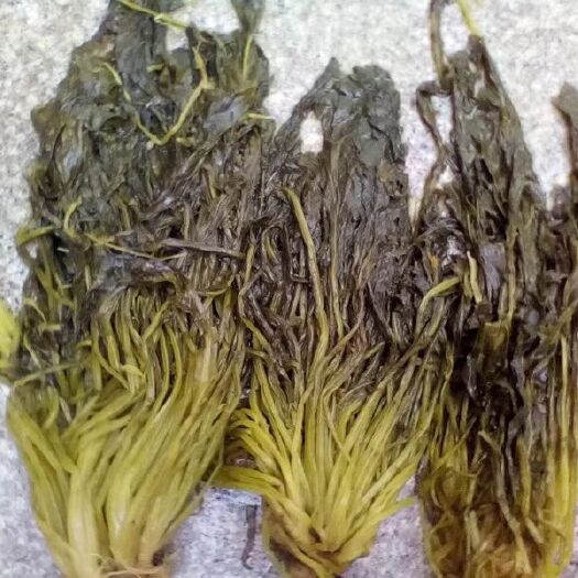东台市雪菜泡菜