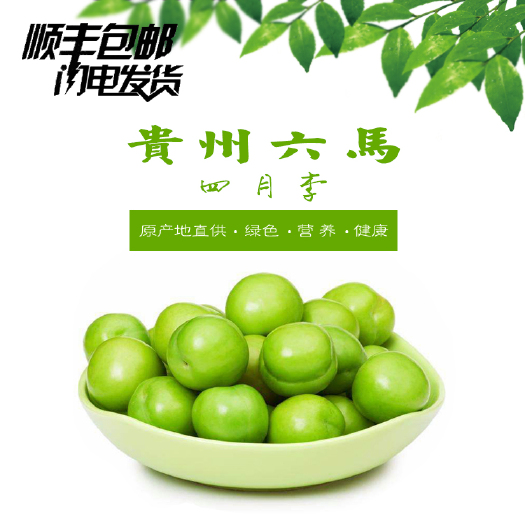 镇宁县李子  贵州安顺镇宁六马四月李