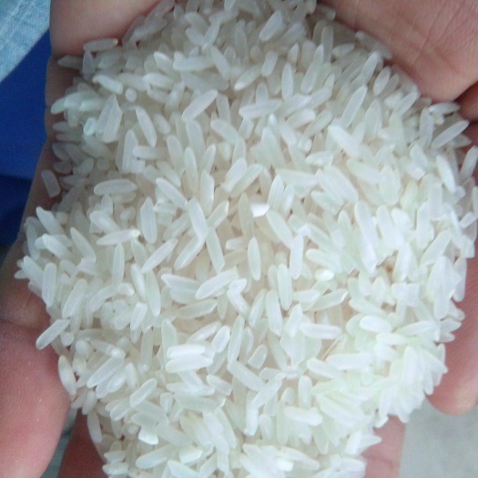 鄱阳县胚芽米 农家自种 晚稻 一等品