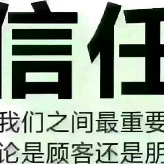东莞市祁东黄花菜 袋装 一级 