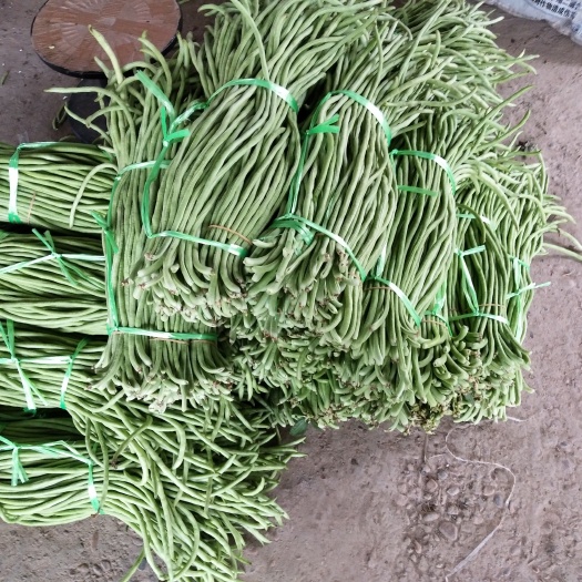 建瓯市绿龙豆角 70cm以上