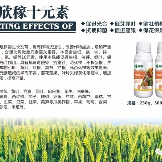 郑州复合肥