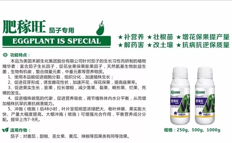 郑州茄子专用肥 