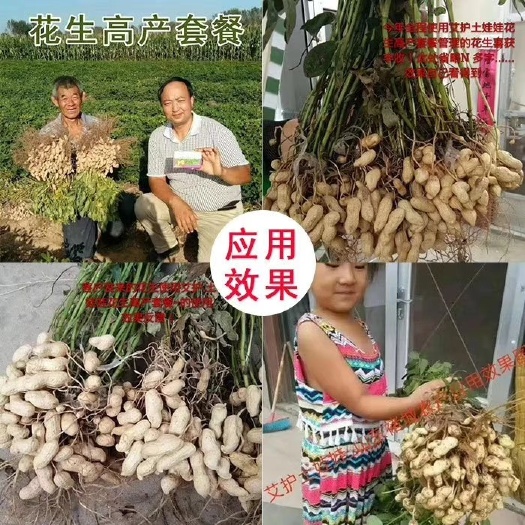 南京艾护土娃娃花生套餐 