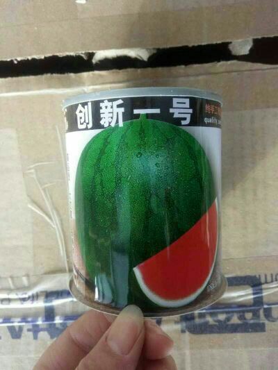 黑皮西瓜种子   黑皮王子  西瓜种子 ~源自日本抗病性强含
