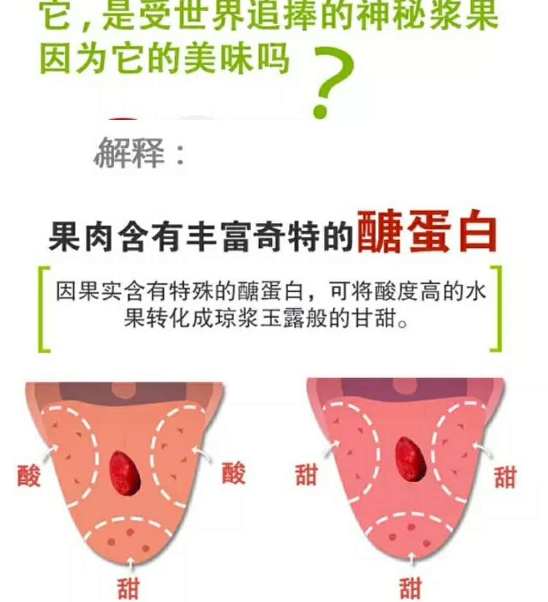 神秘果苗