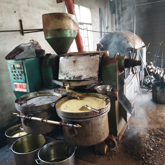 岳阳县自榨纯菜籽油 