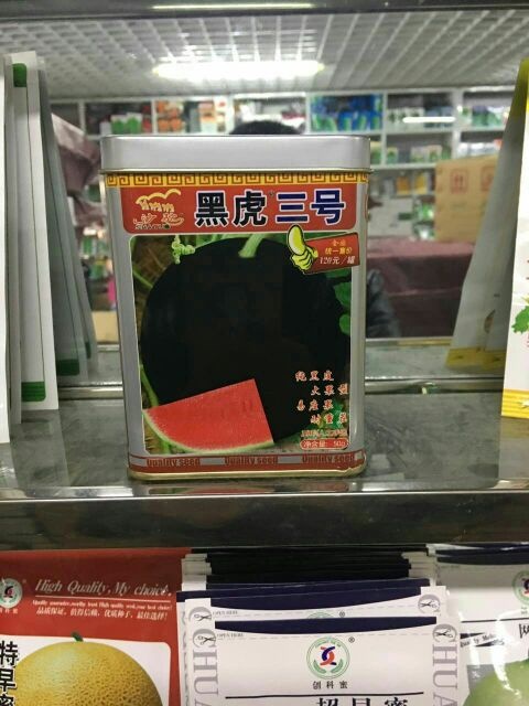 扶沟县黑虎三号无籽西瓜种子 抗病抗裂耐耐重茬果型大产量高含糖量高易