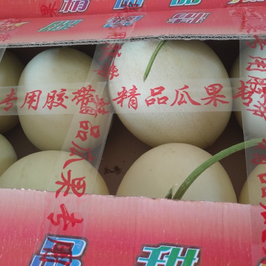 嘉善县玉姑 2斤以上