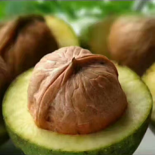 蓝田县薄皮核桃