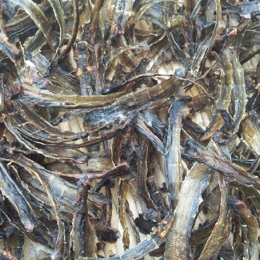 沭阳县地龙  干