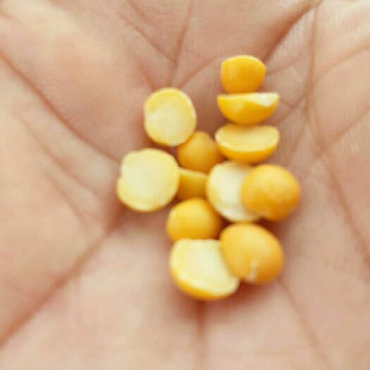 干白豌豆 脱皮豌豆瓣，透明袋包装