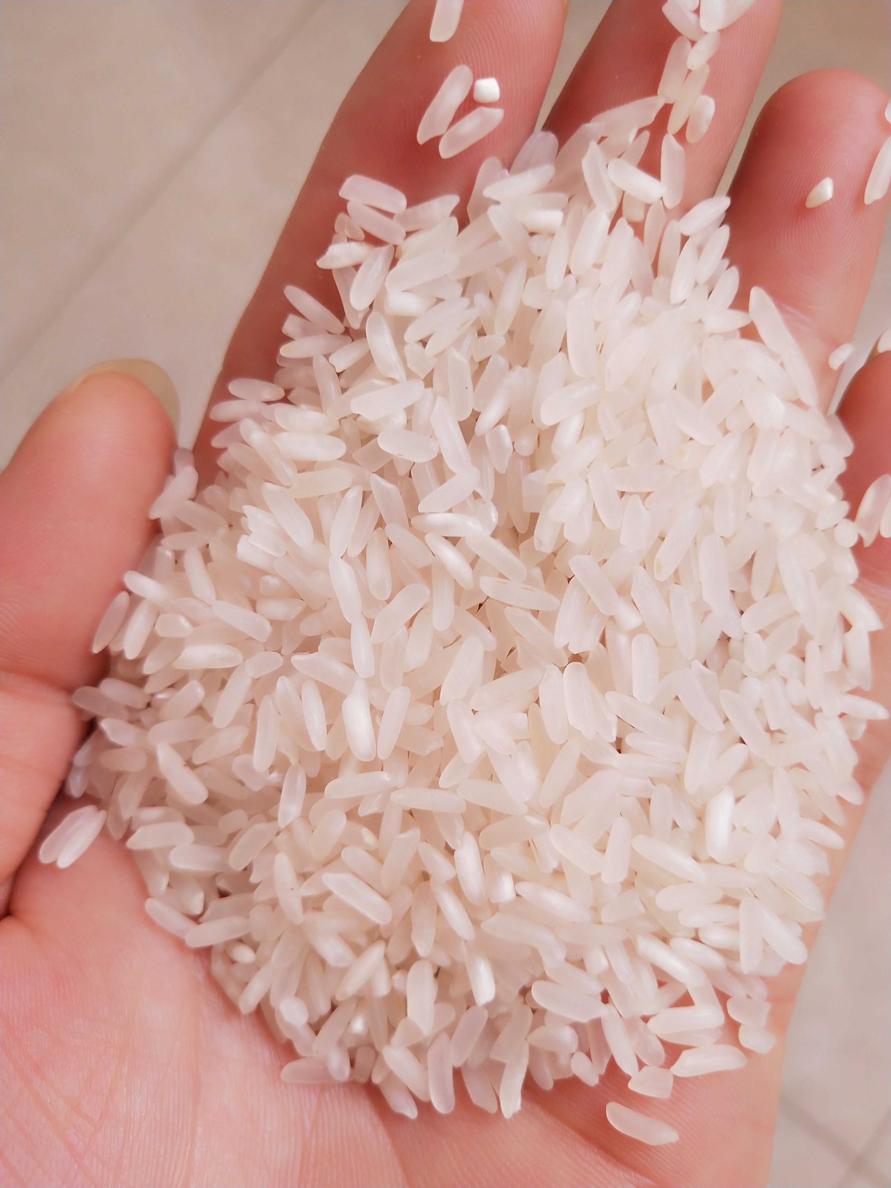 长粒香大米 非有机大米 早稻 一等品