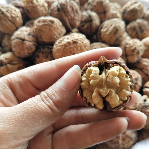 昆明泡核桃  云南漾濞核桃 麻子果中果