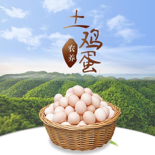 沐川县土鸡蛋 食用 箱装 