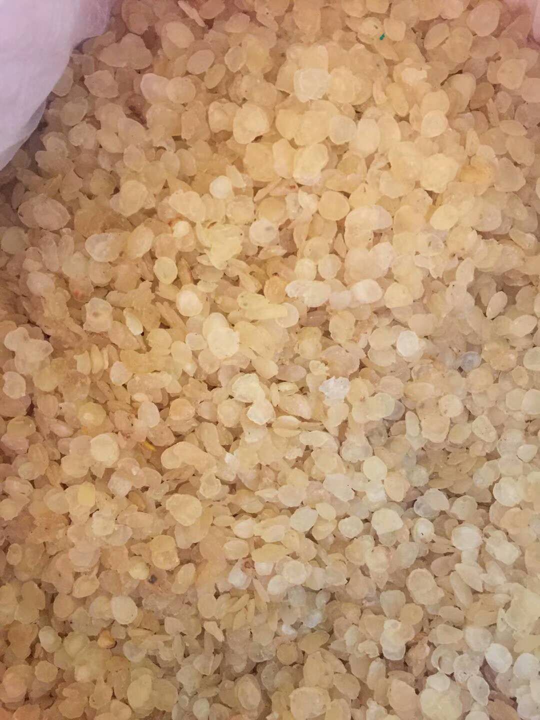 单荚皂角米  皂角米