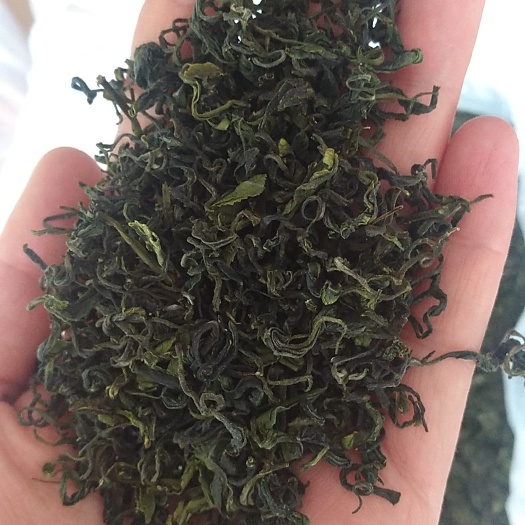 日照炒青茶 一级 袋装