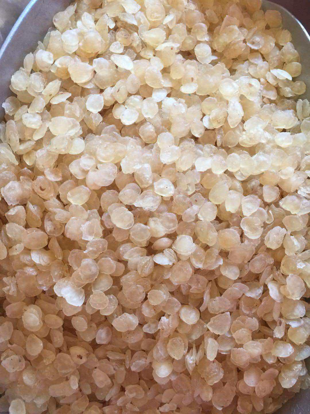 单荚皂角米  皂角米