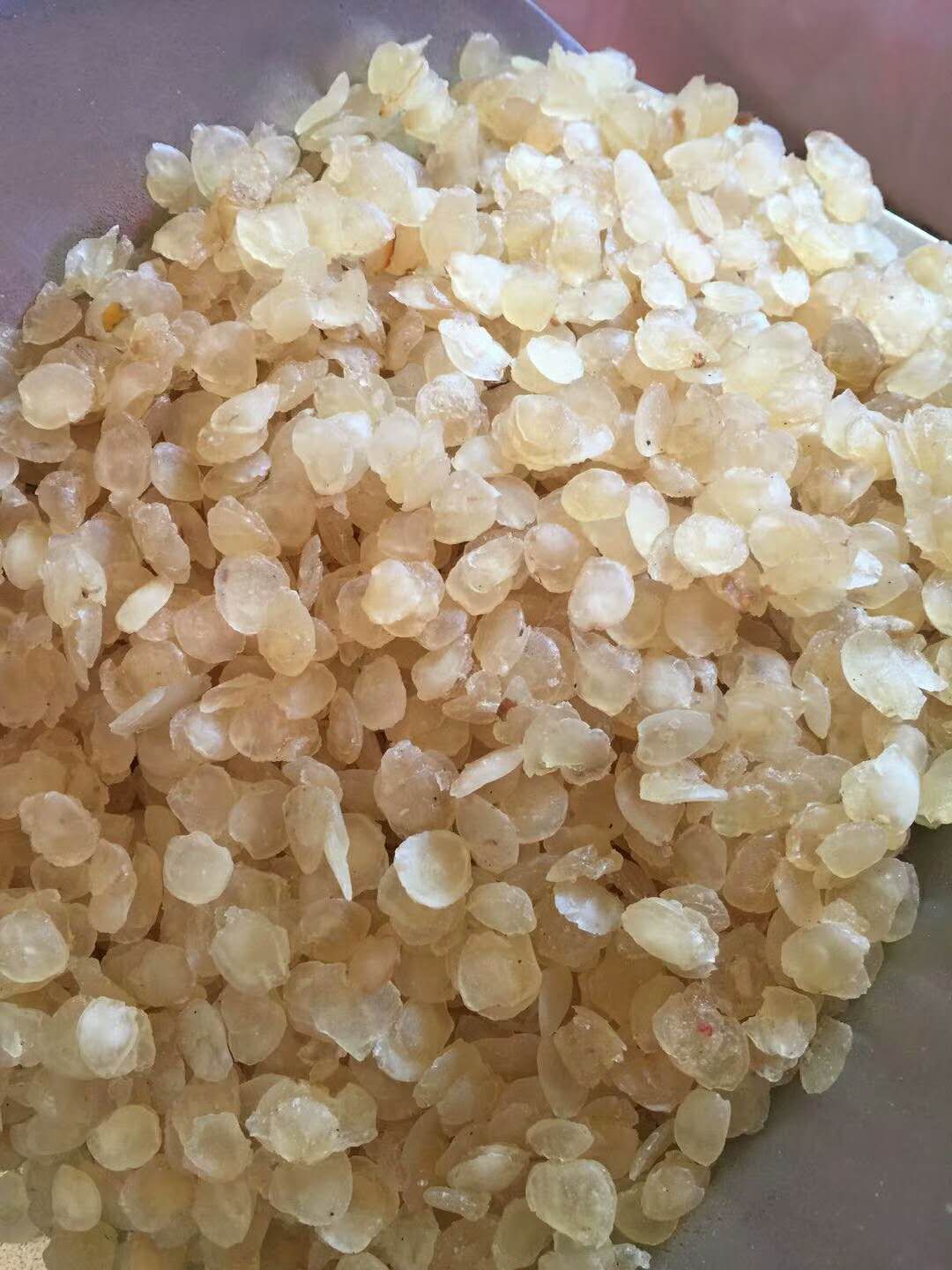 单荚皂角米  皂角米