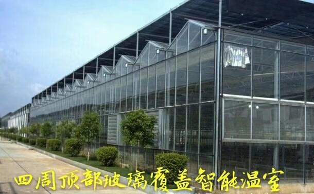 天津智能大棚系统