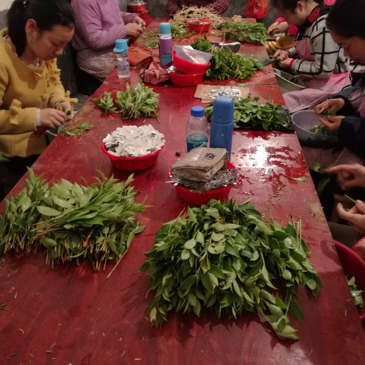 攸县湘林系列