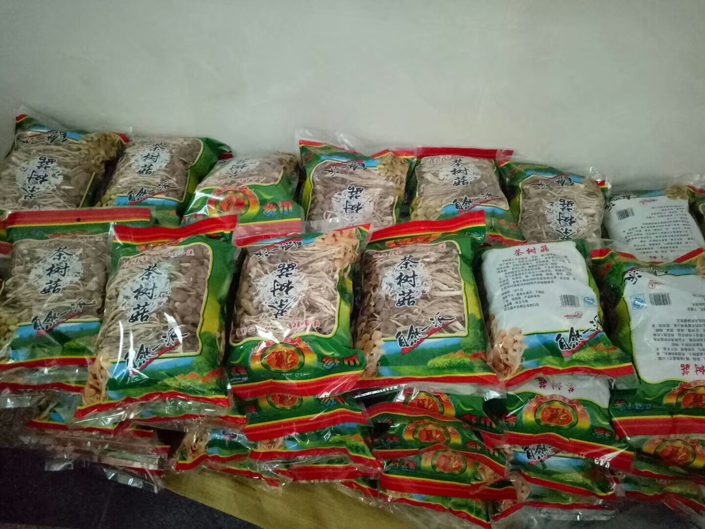 福建古田特产没开伞茶树菇