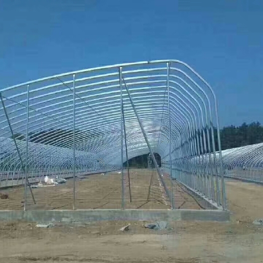 石门县钢管大棚