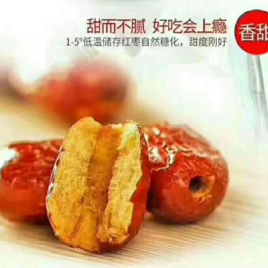 沧县香脆枣
