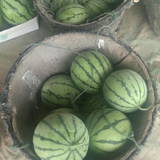 岳阳 大棚麒麟西瓜，产地直销，大红黑子，皮薄