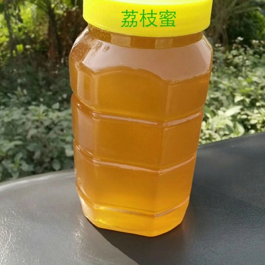 博白县龙眼蜜 2年以上 41 本品不能代替药物