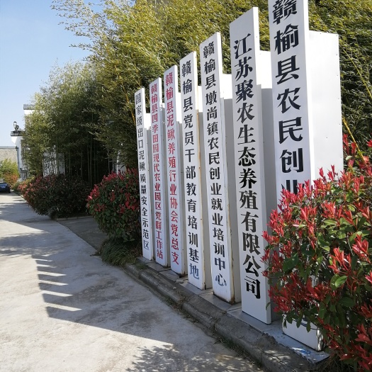连云港泥鳅苗