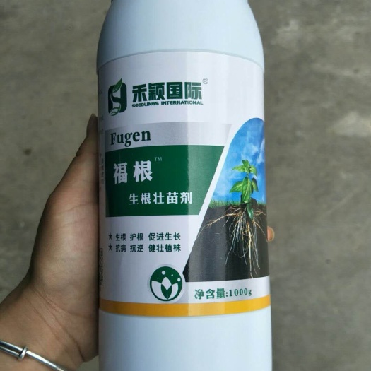 郑州生根壮苗剂 