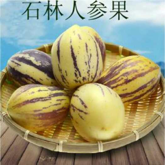 石林县人参果之乡，产地直销，大量供应，品质有保障