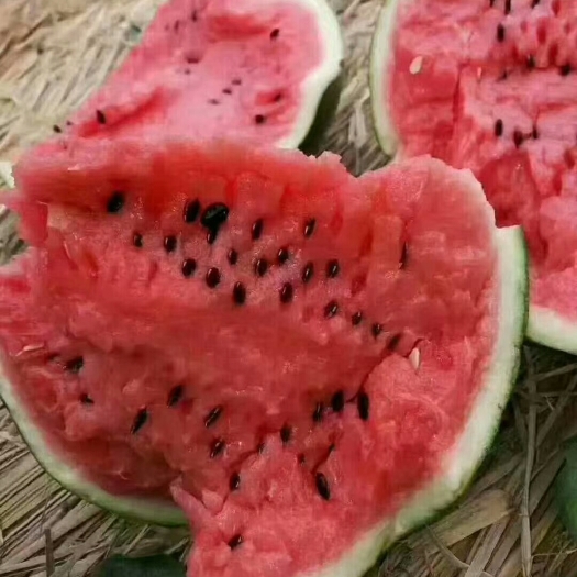 开封京欣西瓜，美都