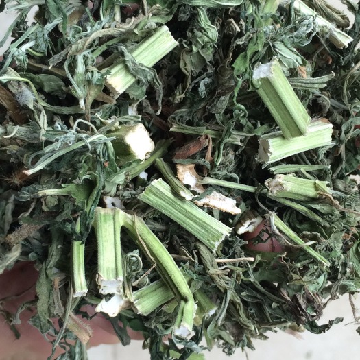 枣阳市益母草