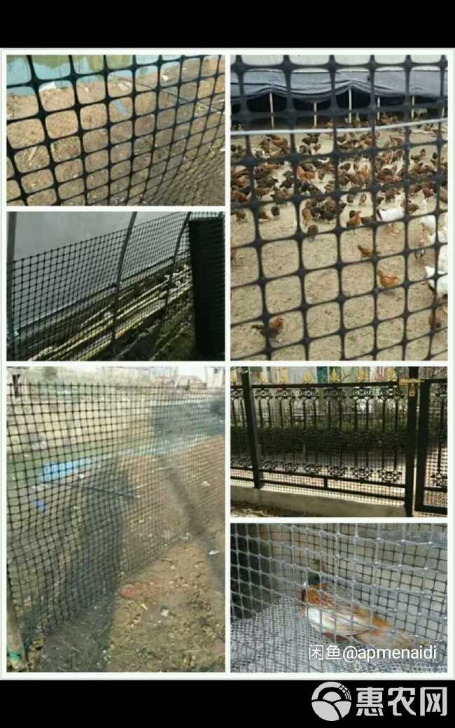 苗床网 2厘米孔鸡鸭鹅养殖网拦鸡网漏粪板防护网围栏网