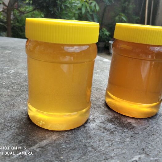 灵山县土蜂蜜 塑料瓶装 1年 