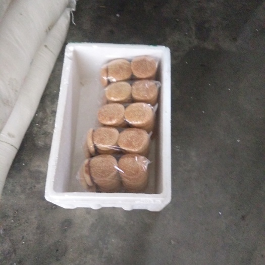 赣州肚脐饼 3-6个月