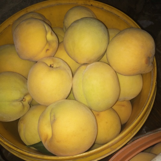 随县黄桃自家的